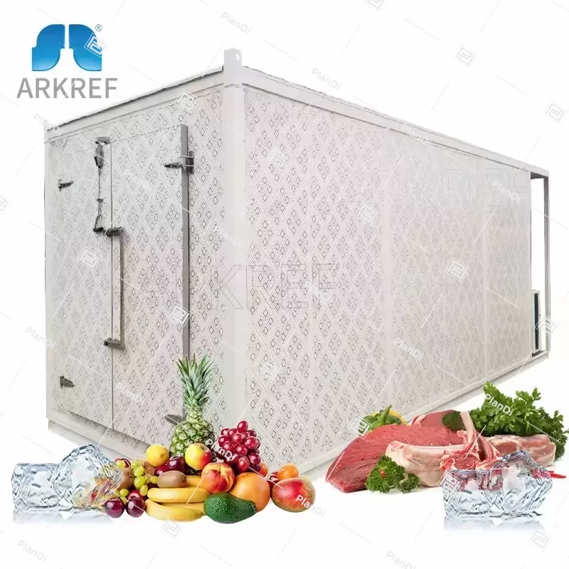 ARKREF Container with freezer and refrigerator compartment